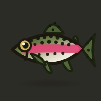 A freshly caught trout